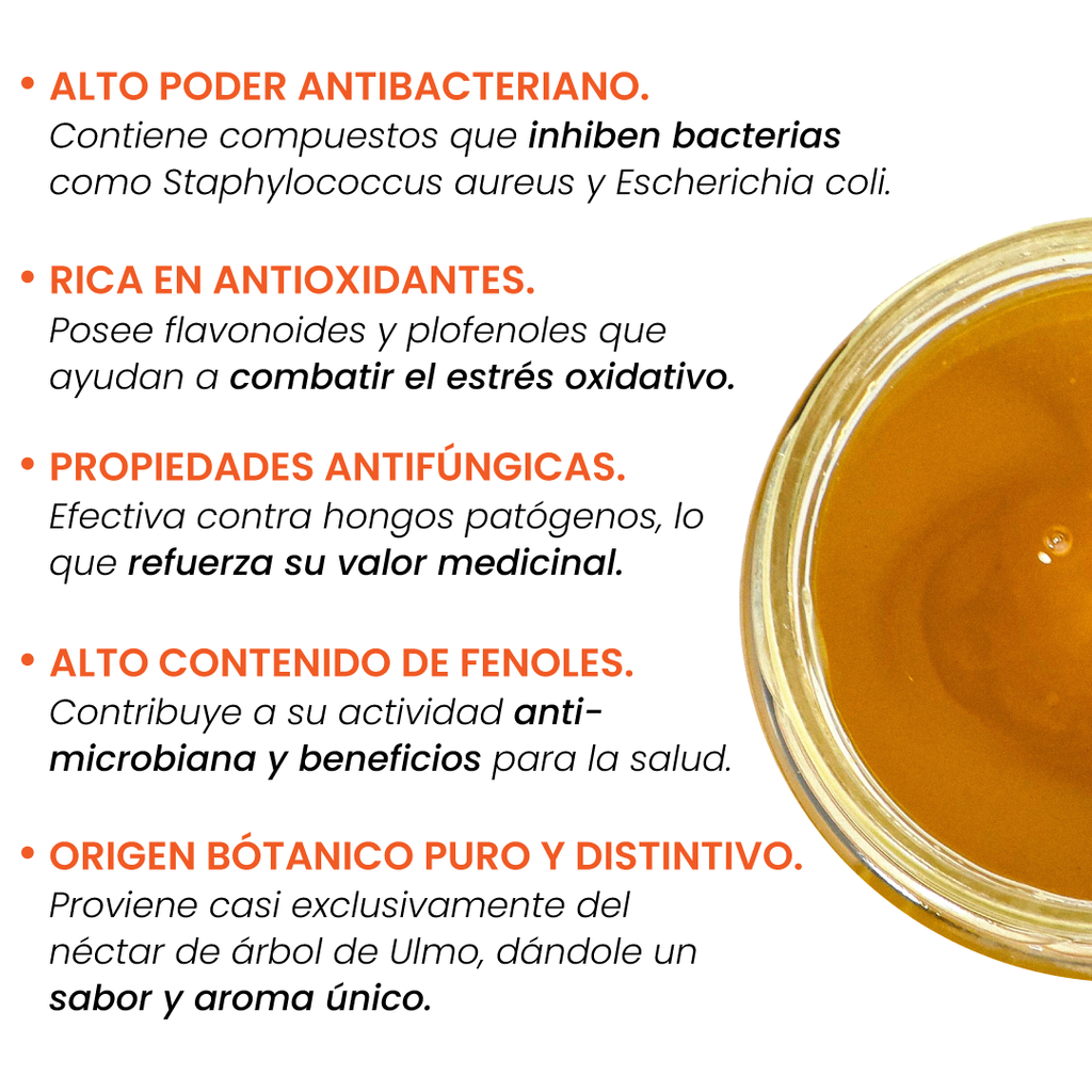 Pack 3 Frascos Miel Monofloral Ulmo 515grs