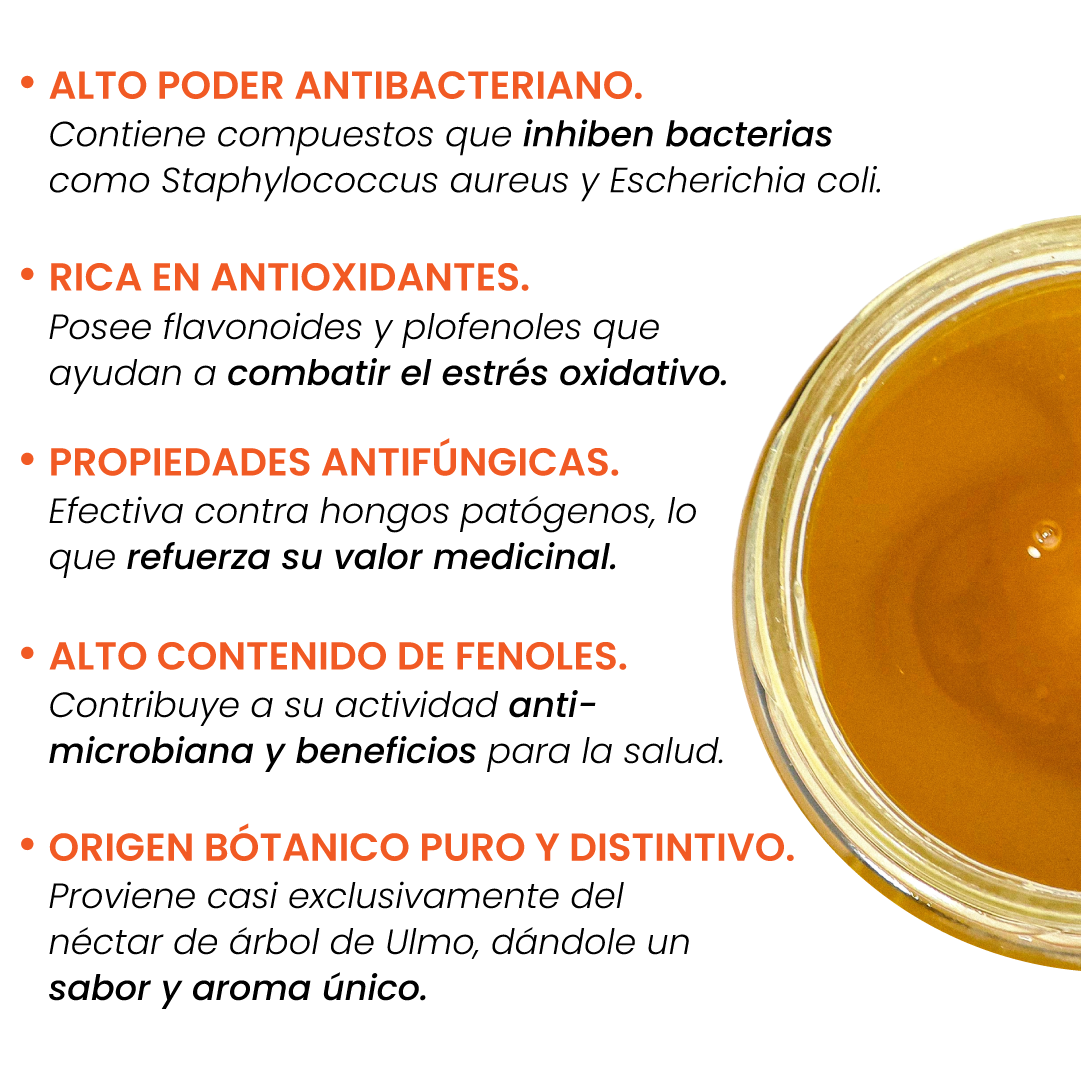 Pack 3 Frascos Miel Monofloral Ulmo 1,3 kg + envío GRATIS