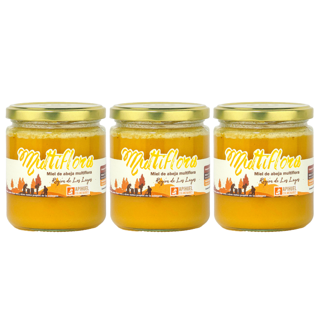 Pack 3 Mieles Multiflora de La Región de Los Lagos 515grs c/u