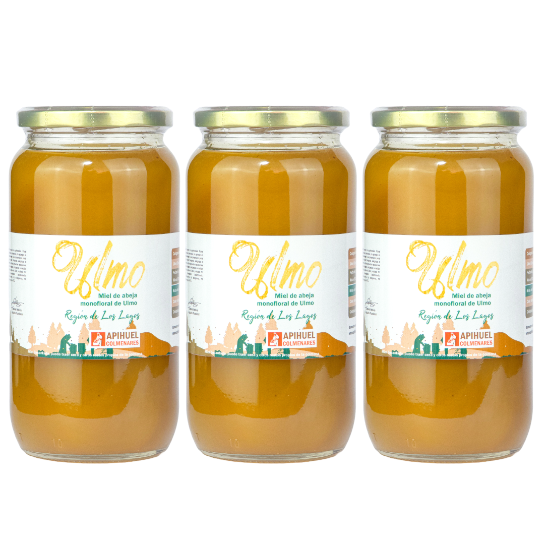 Pack 3 Frascos Miel Monofloral Ulmo 1,3 kg + envío GRATIS