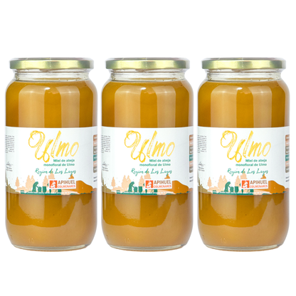 Pack 3 Frascos Miel Monofloral Ulmo 1,3 kg + envío GRATIS
