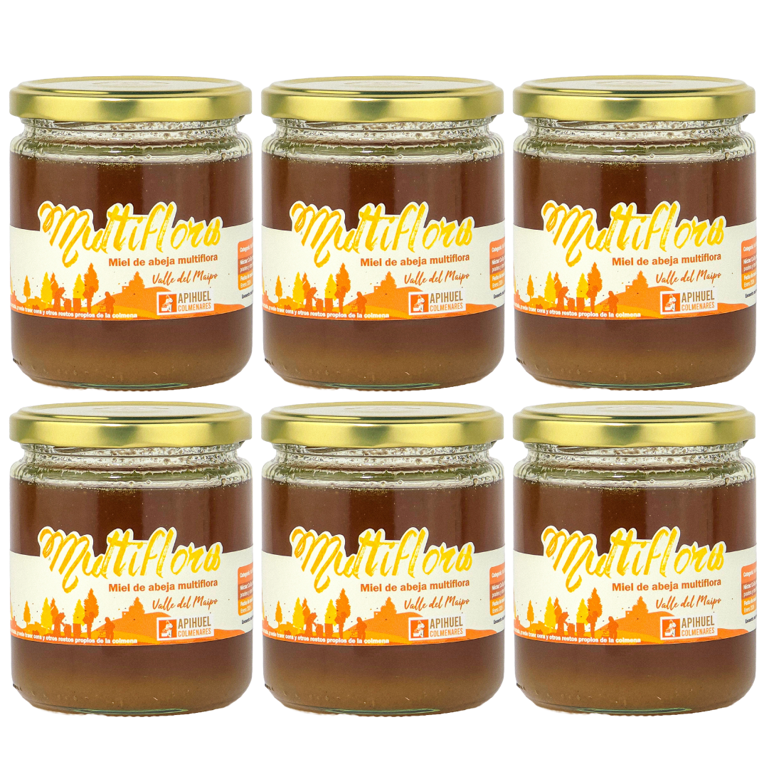 Big Pack 6 Mieles Multiflora Valle del Maipo 515grs c/u