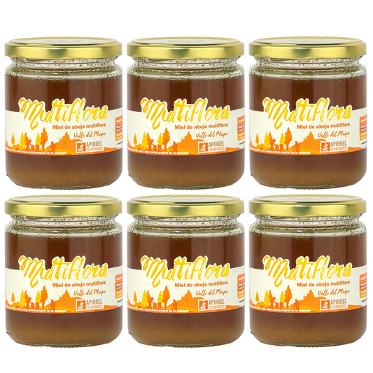 Big Pack 6 Mieles Multiflora Valle del Maipo 515grs c/u