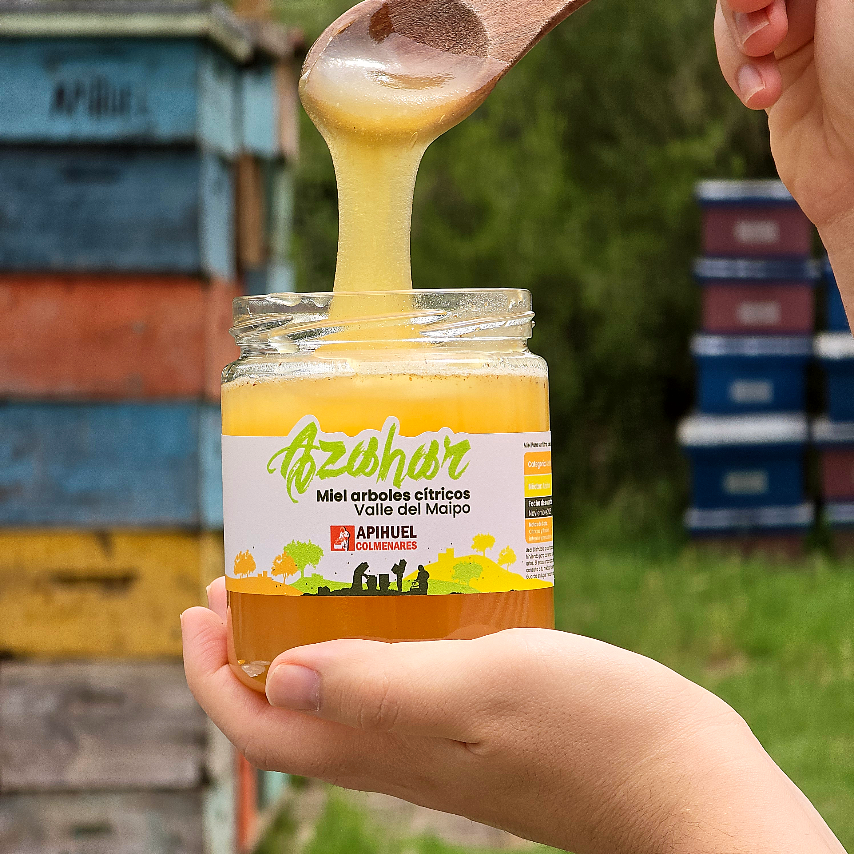 Miel Monofloral de Azahar 515grs