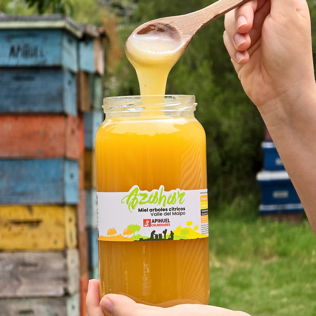 Miel Monofloral de Azahar 1,3 kg