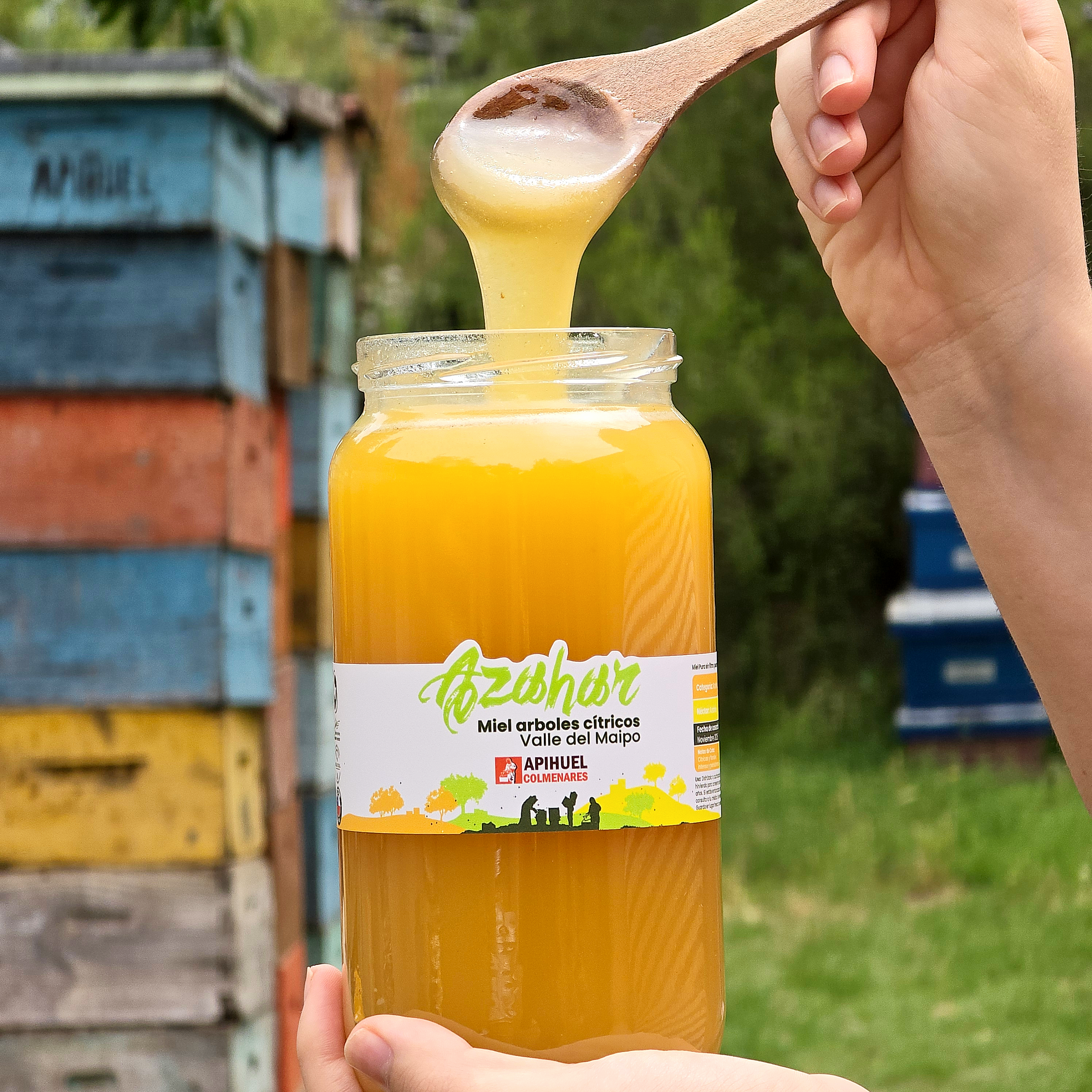 Miel Monofloral de Azahar 1,3 kg