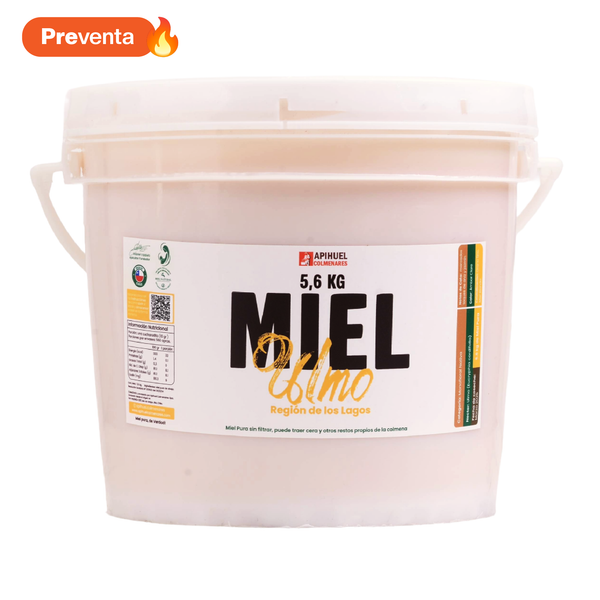 Balde Miel de Ulmo 5,6 kg