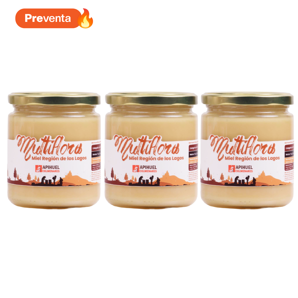 Pack 3 Mieles Multiflora de La Región de Los Lagos 515grs c/u