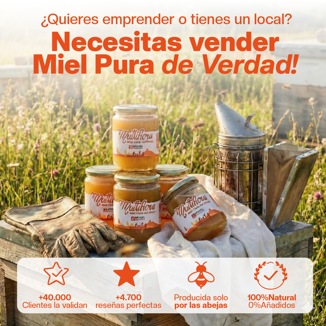 Caja 25 frascos Miel Multiflora Valle del Maipo 515grs precio especial para Mayoristas