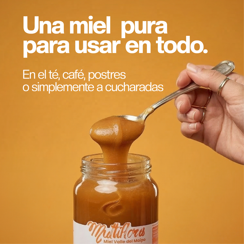 Miel Multiflora del Valle del Maipo 1,3 kg
