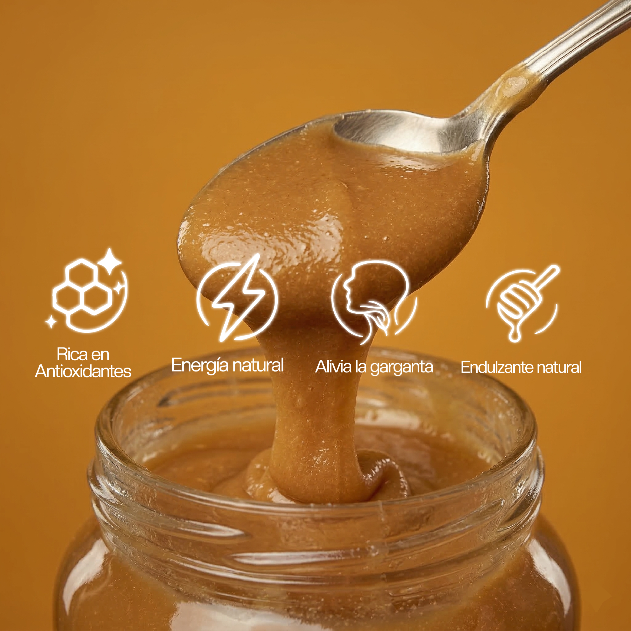 Miel Multiflora del Valle del Maipo 1,3 kg