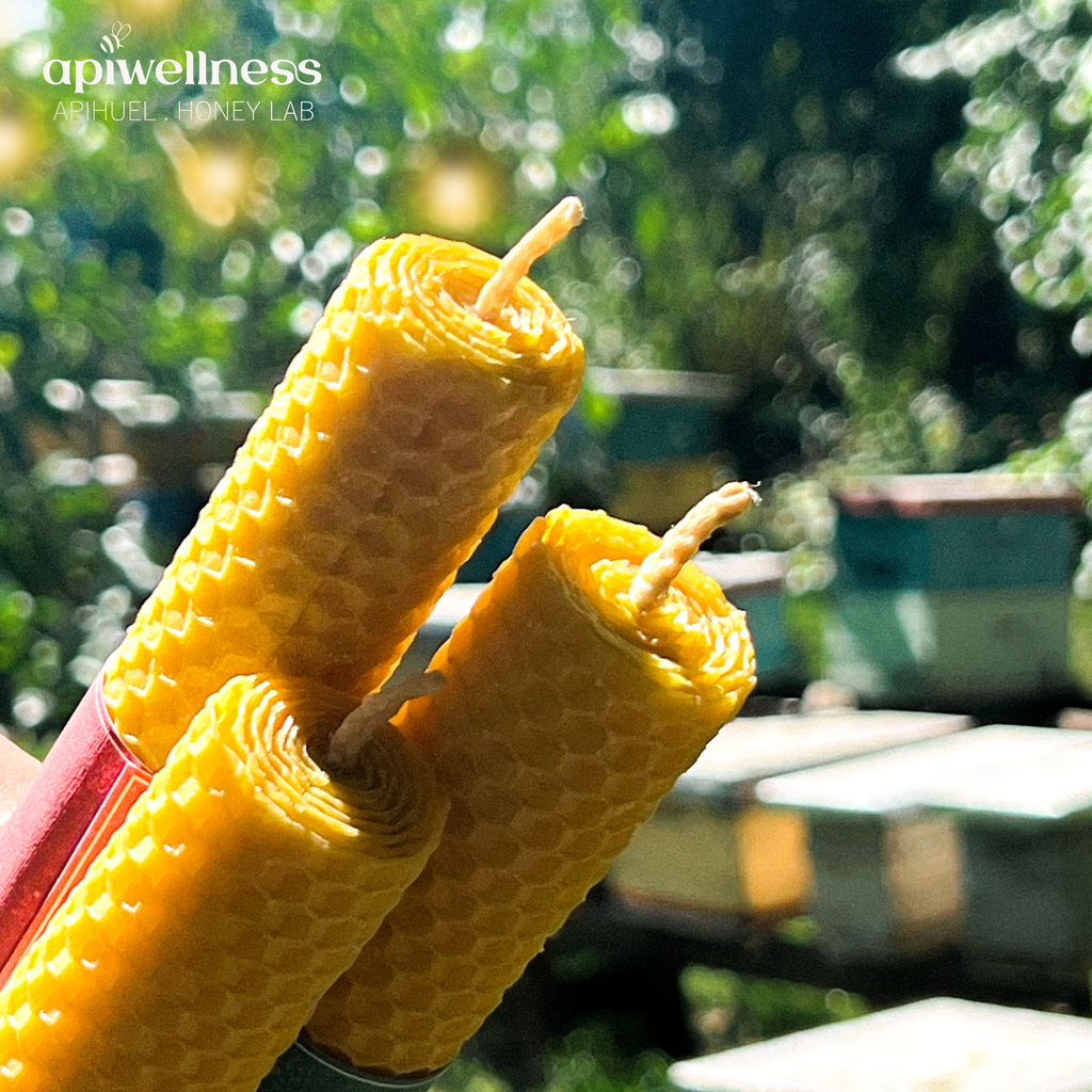 Pack 3 Velas de Cera de Abeja 17cm