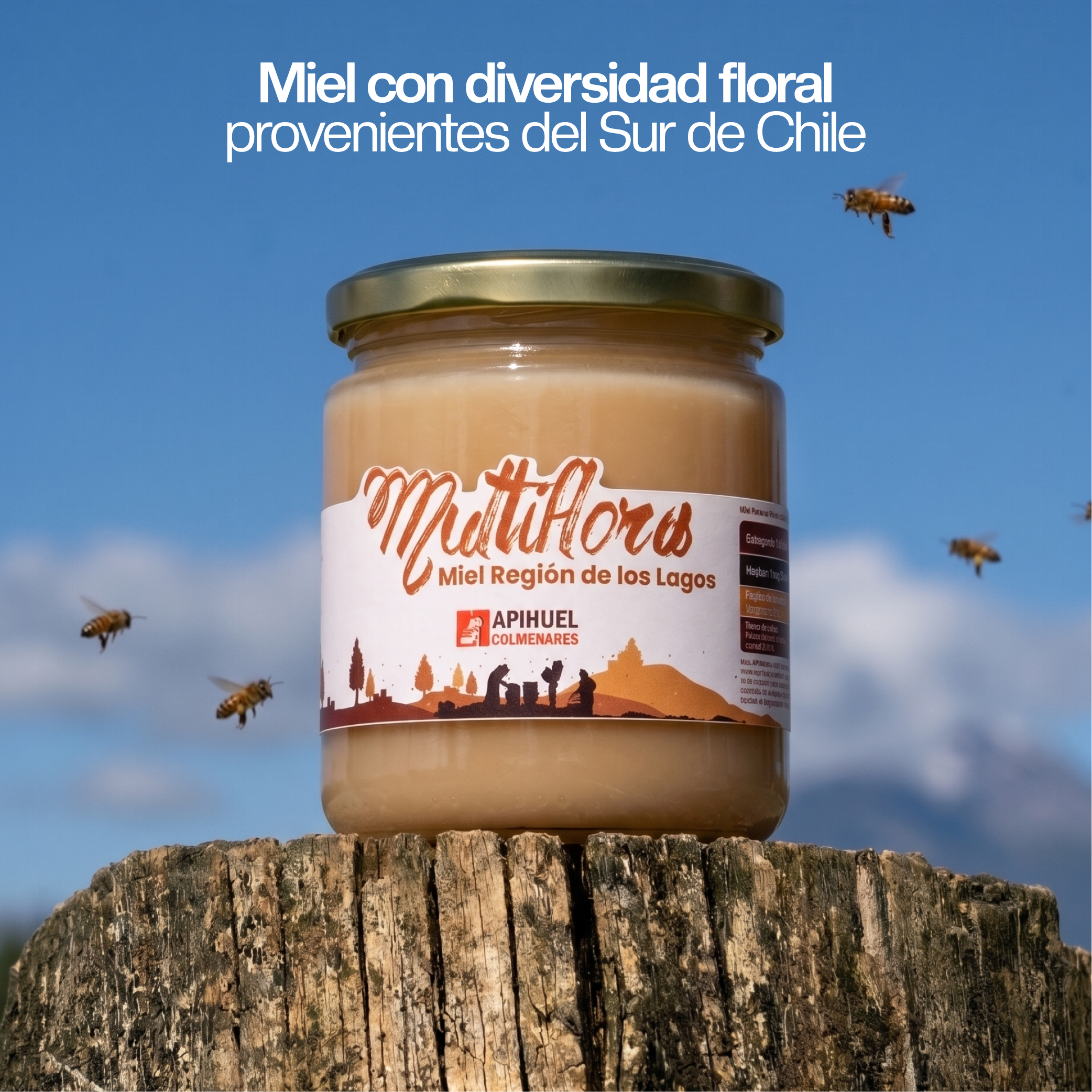 Pack Variedades de Miel 515g