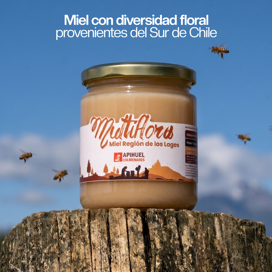 Pack 3 Mieles Multiflora de La Región de Los Lagos 515grs c/u