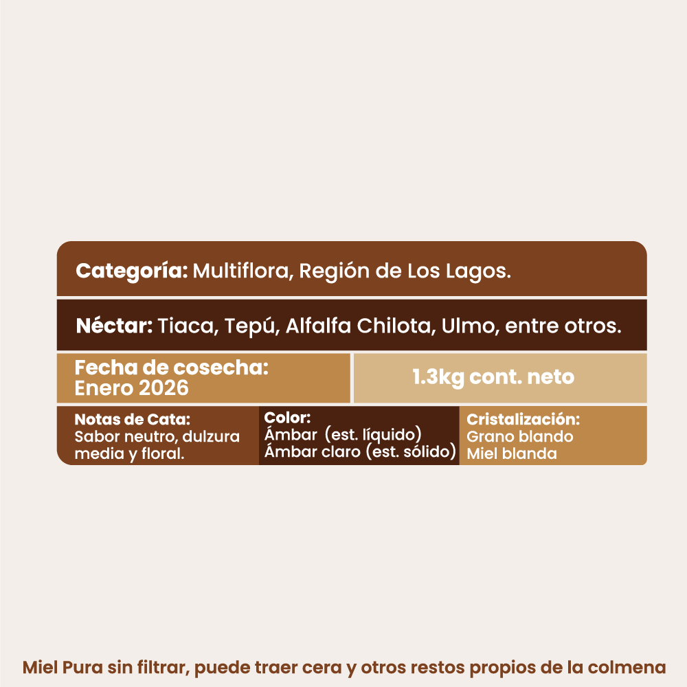 Pack Mieles de Chile 1,3 kg