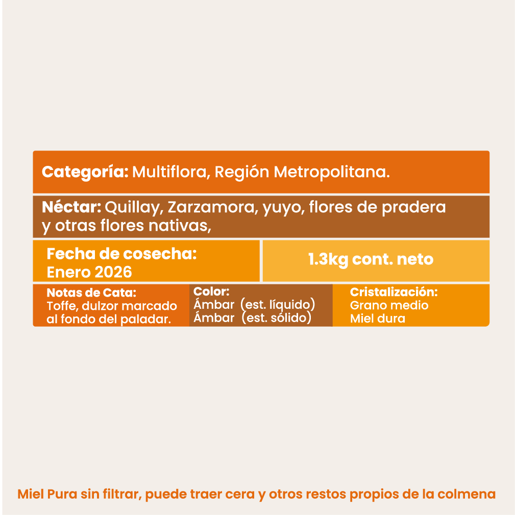 Pack Mieles de Chile 1,3 kg