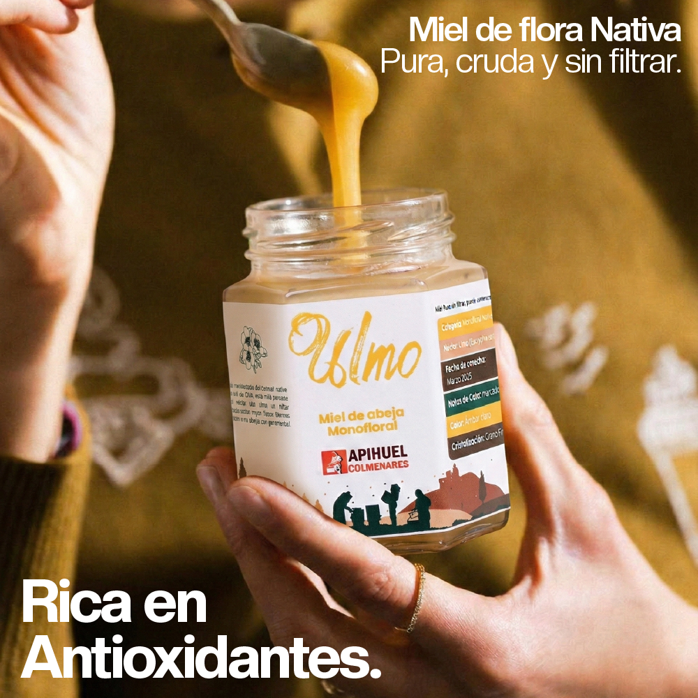 Pack 3 frascos Miel de Ulmo 225 grs