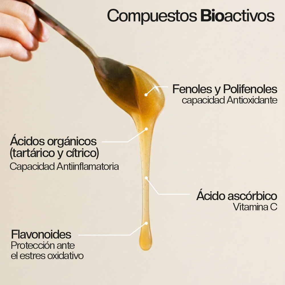 Balde Miel de Ulmo 5,6 kg