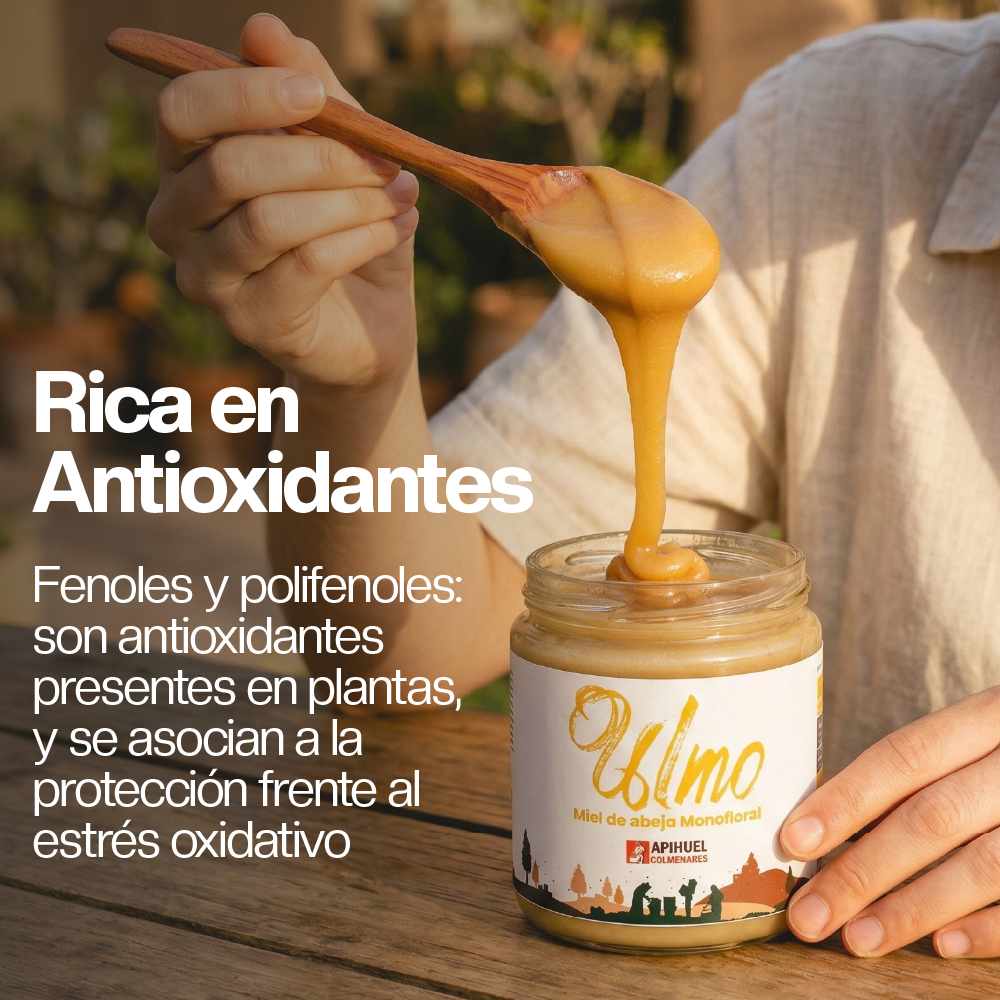 Miel de Ulmo 515 grs