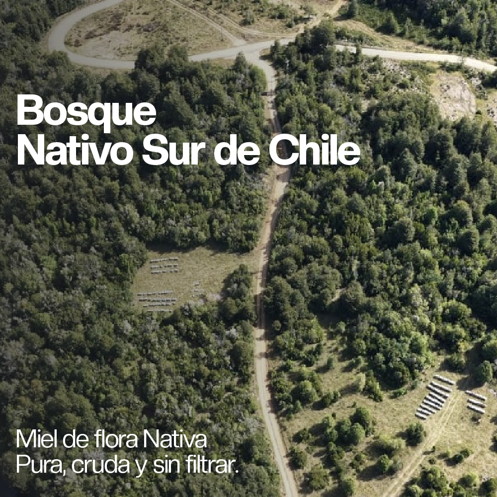 Miel de Ulmo 515 grs