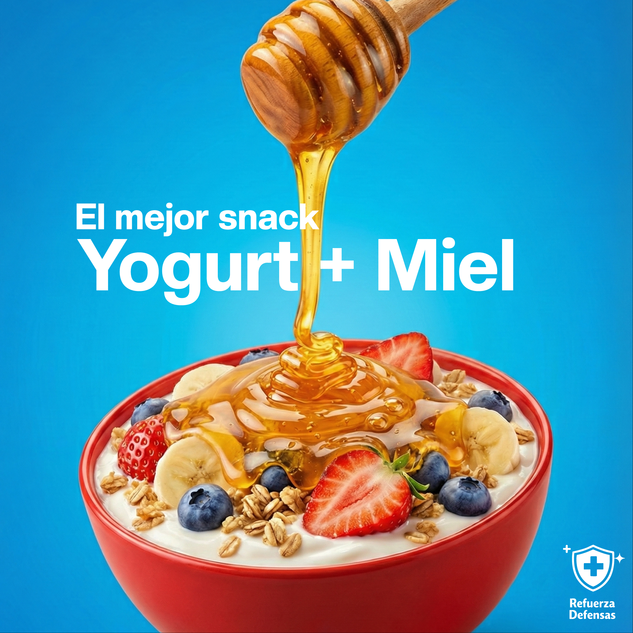 Balde Miel Multiflora Valle del Maipo 5,6Kg