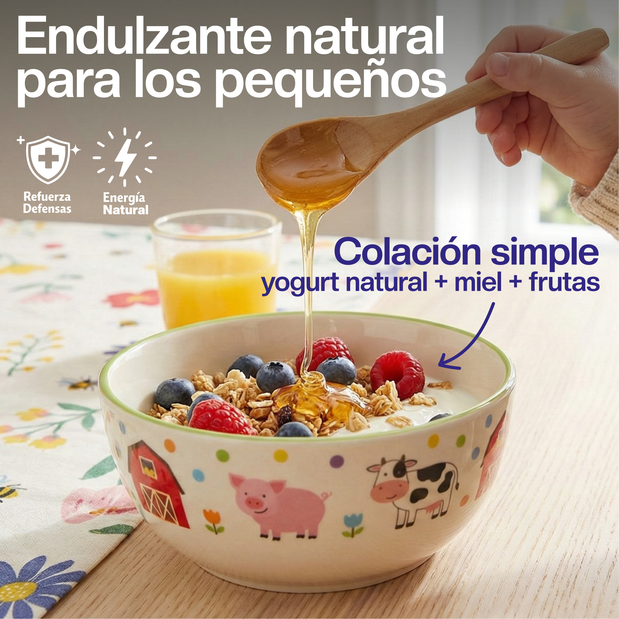 Miel Multiflora de La Región de Los Lagos 515 grs