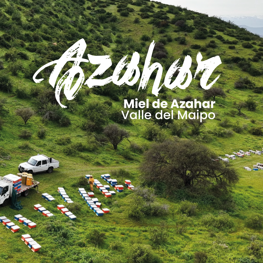 Miel Monofloral de Azahar 515grs