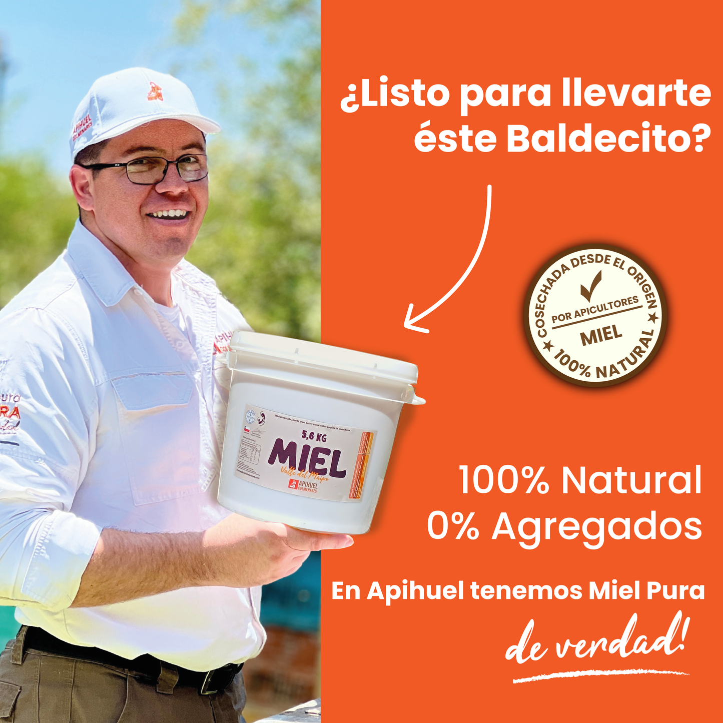 Balde Miel 100% Pura Multiflora Valle del Maipo 5,6Kg Enero