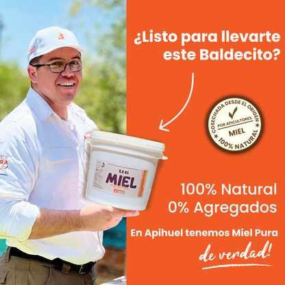 Balde Miel Multiflora de La Región de Los Lagos 5,6 kilos + envío GRATIS