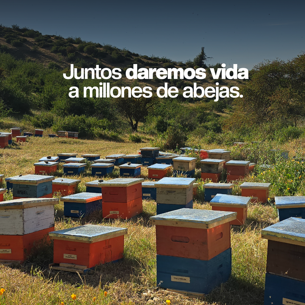 Abeja Obrera