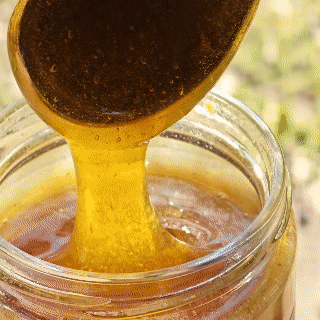 Miel Monofloral de Litre 515grs