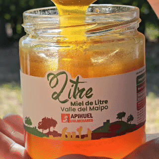 Miel Monofloral de Litre 515grs