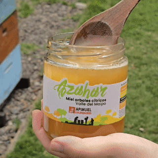 Miel Monofloral de Azahar 515grs