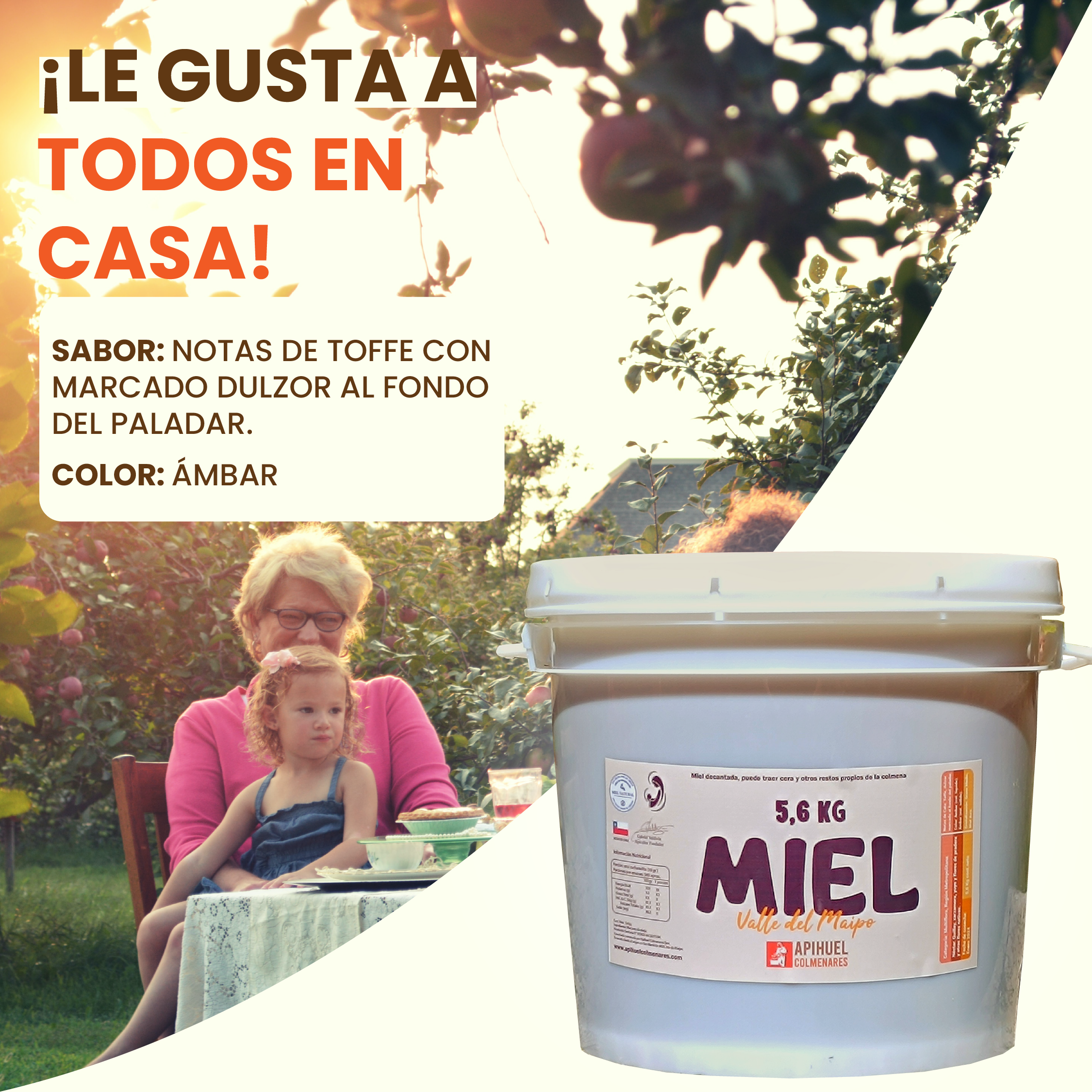 Balde Miel Multiflora Valle del Maipo 5,6Kg