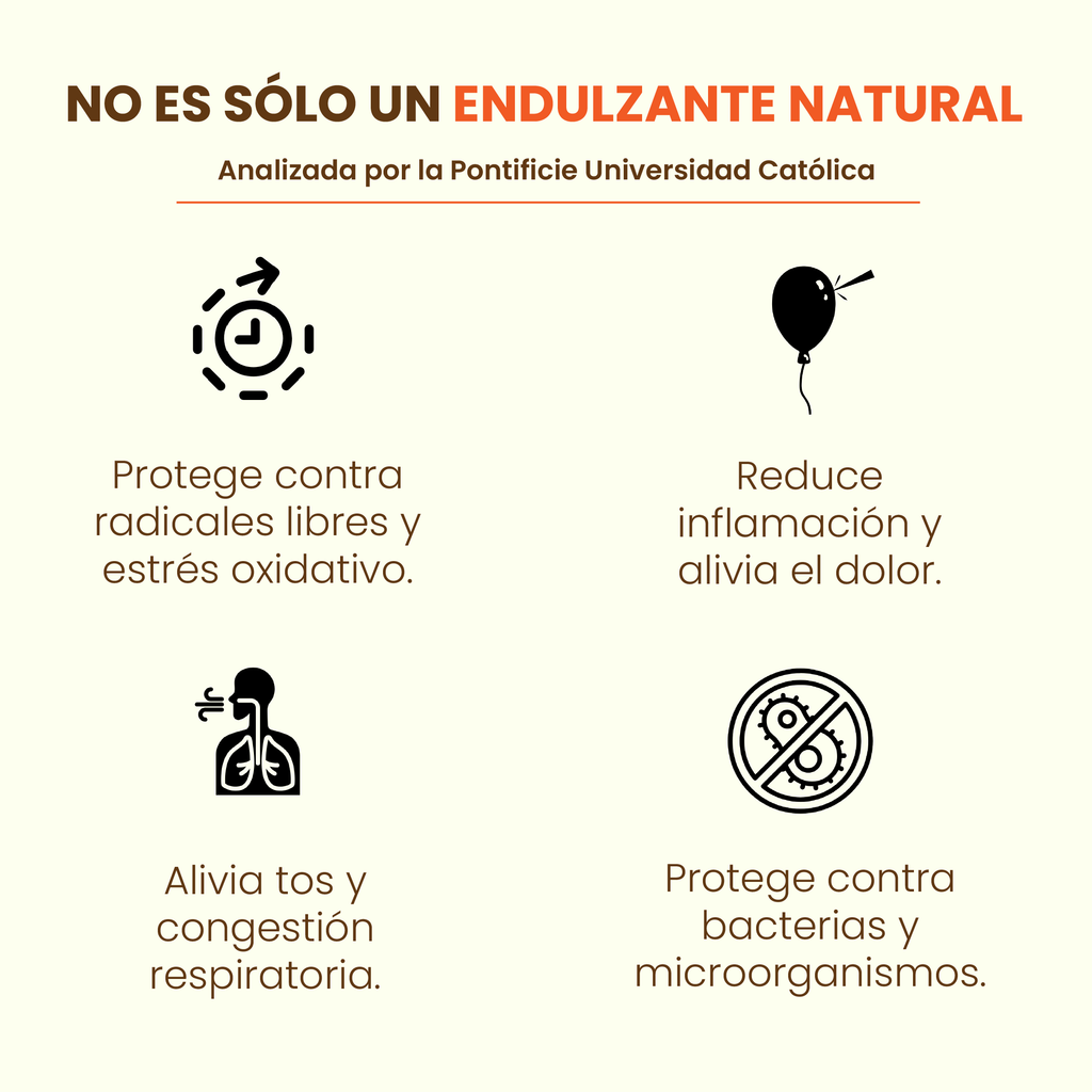 Pack 3 Mieles Multiflora de La Región de Los Lagos 515grs c/u