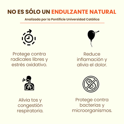 Balde Miel Multiflora de La Región de Los Lagos 5,6 kilos + envío GRATIS