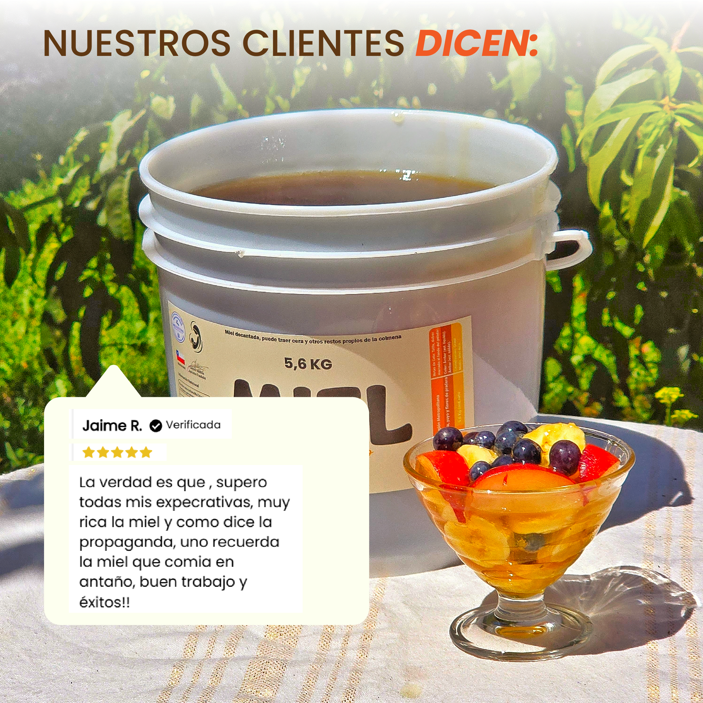 Balde Miel Multiflora Valle del Maipo 5,6Kg