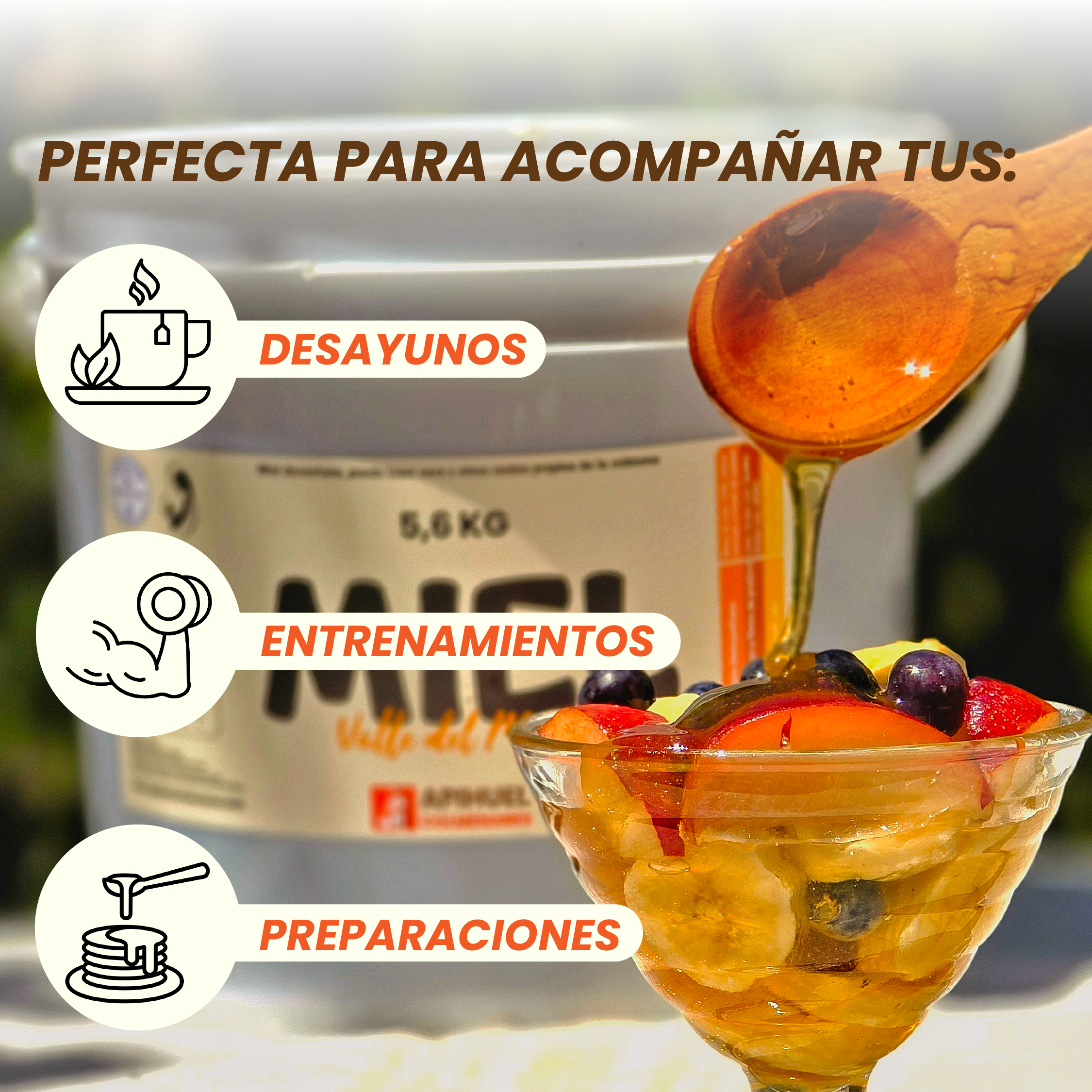 Balde Miel Multiflora Valle del Maipo 5,6Kg