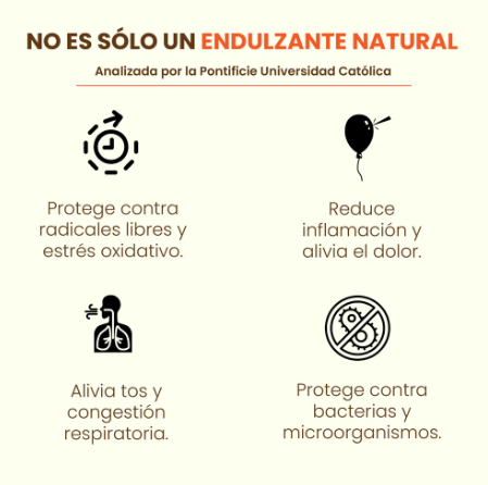 Pack 3 Mieles Multiflora Valle del Maipo 515grs c/u