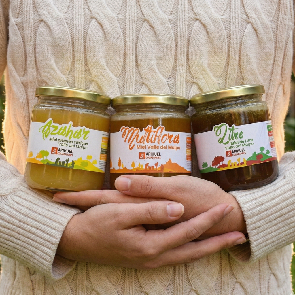 Pack Variedades de Miel Valle del Maipo