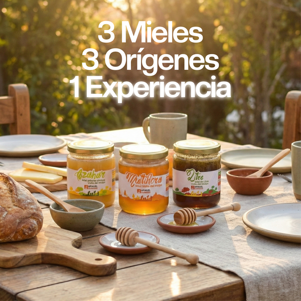 Pack Variedades de Miel Valle del Maipo