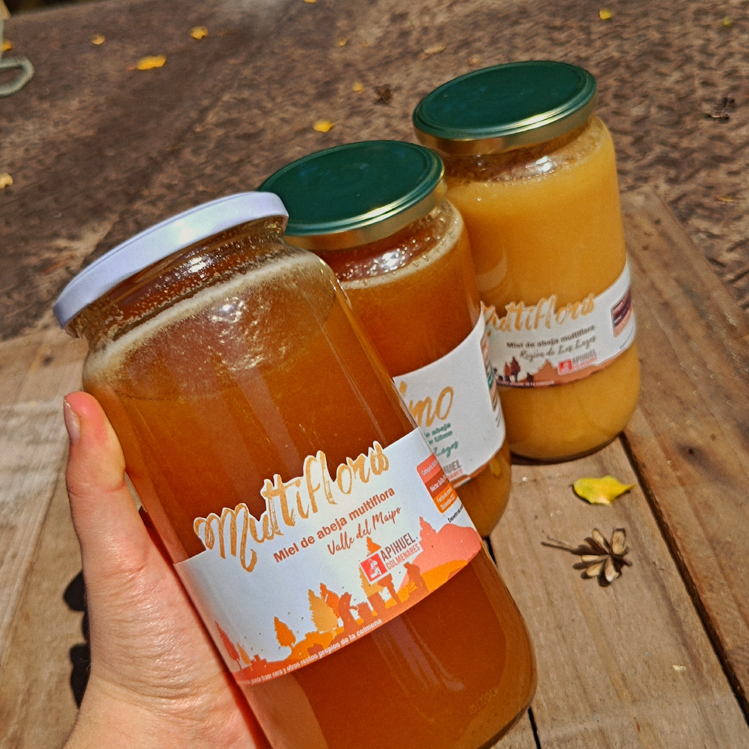A hand holding jars of honey from Pack Mieles de Chile 1.3 kg.