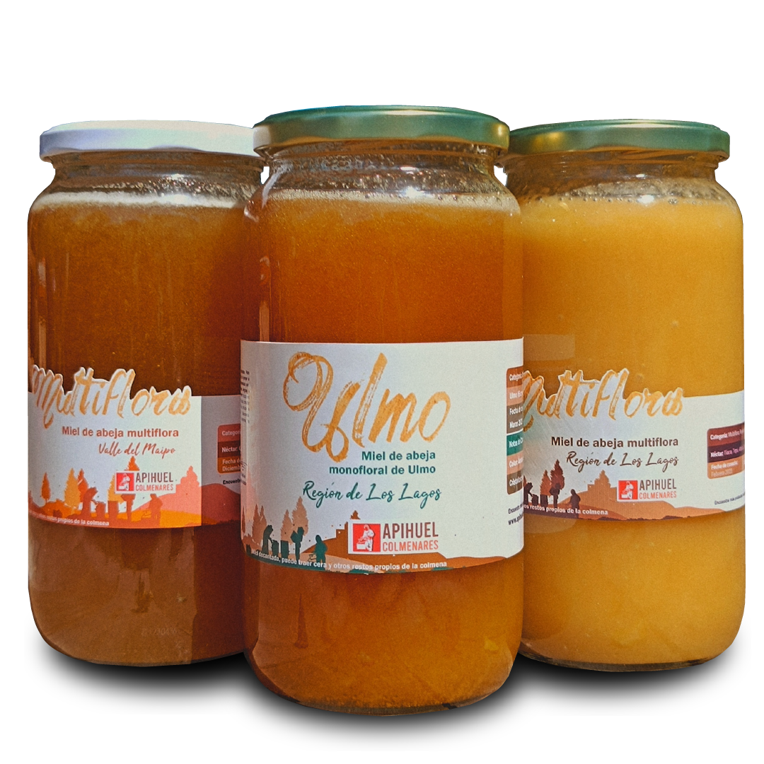 A group of food jars showcasing Pack Mieles de Chile 1.3 kg.