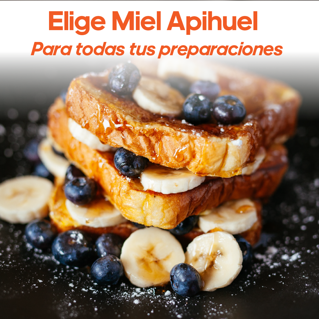A stack of French toast with blueberries, bananas, and syrup, part of the Pack Mieles de Chile 1.3 kg showcasing diverse honey varieties.
