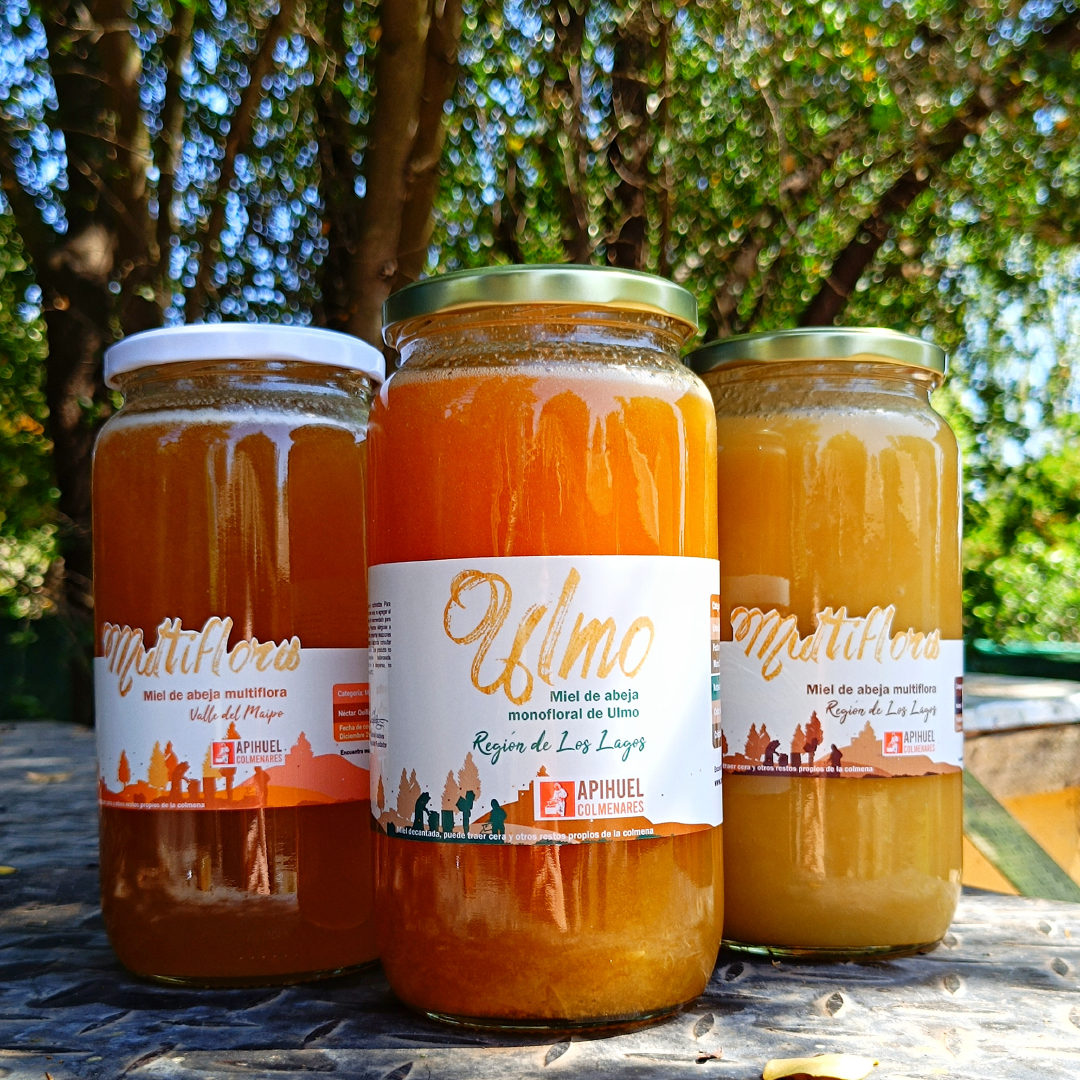 Assorted jars of pure and natural honey from Chile - Multiflora Valley of Maipo, Los Lagos Region, and Monofloral Ulmo.