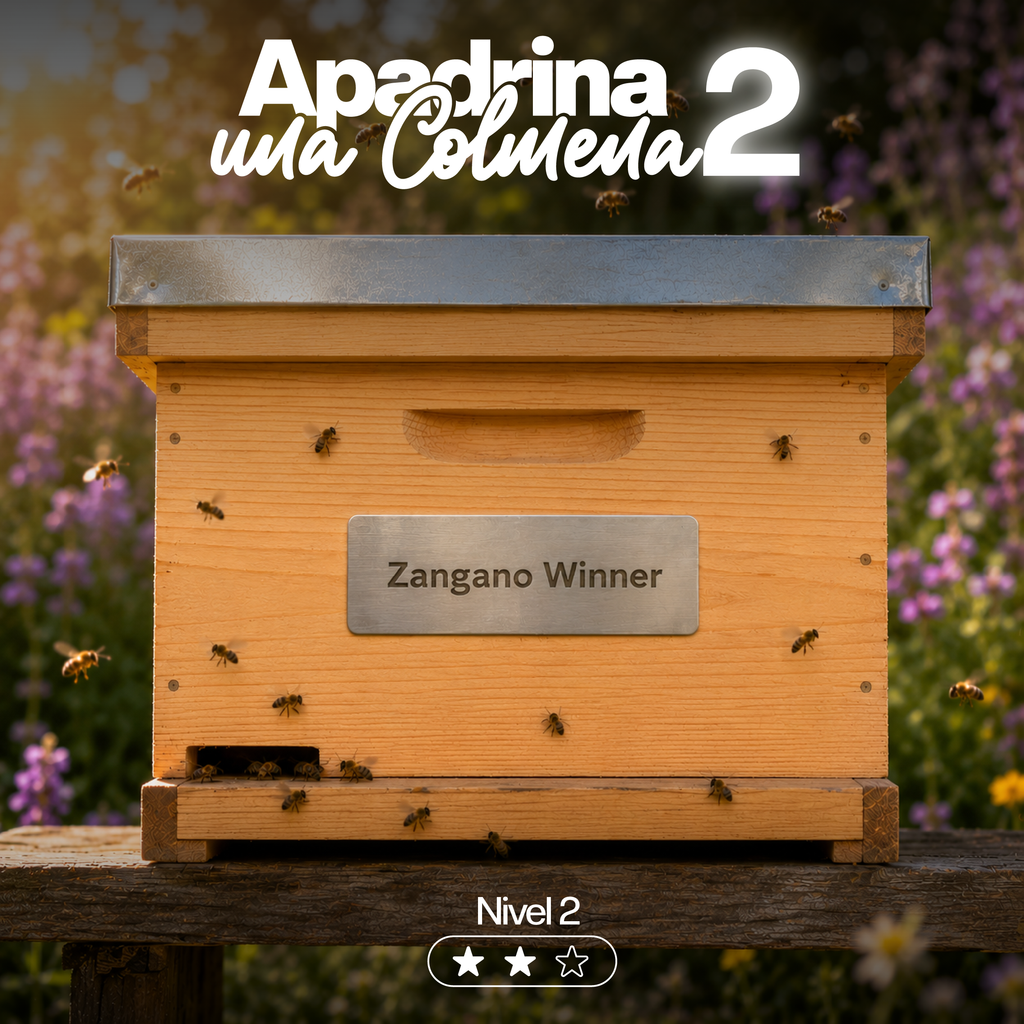 Zangano Winner