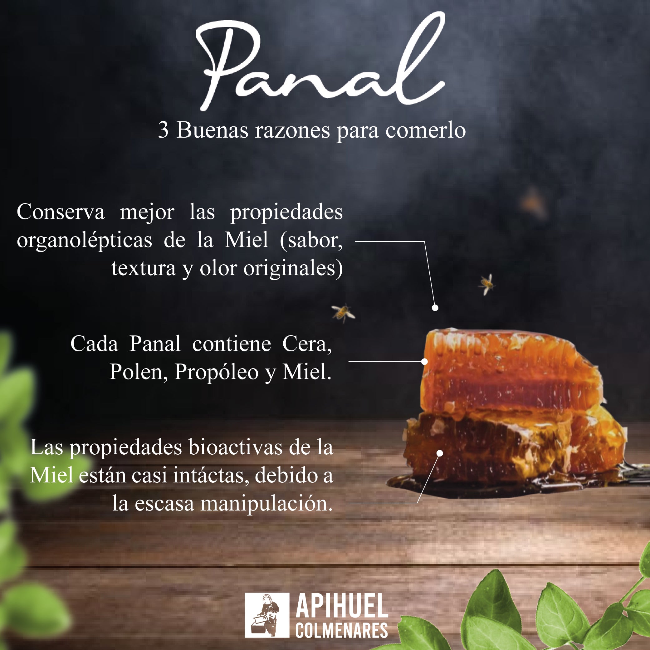 Miel en Panal Multiflora Pequeña