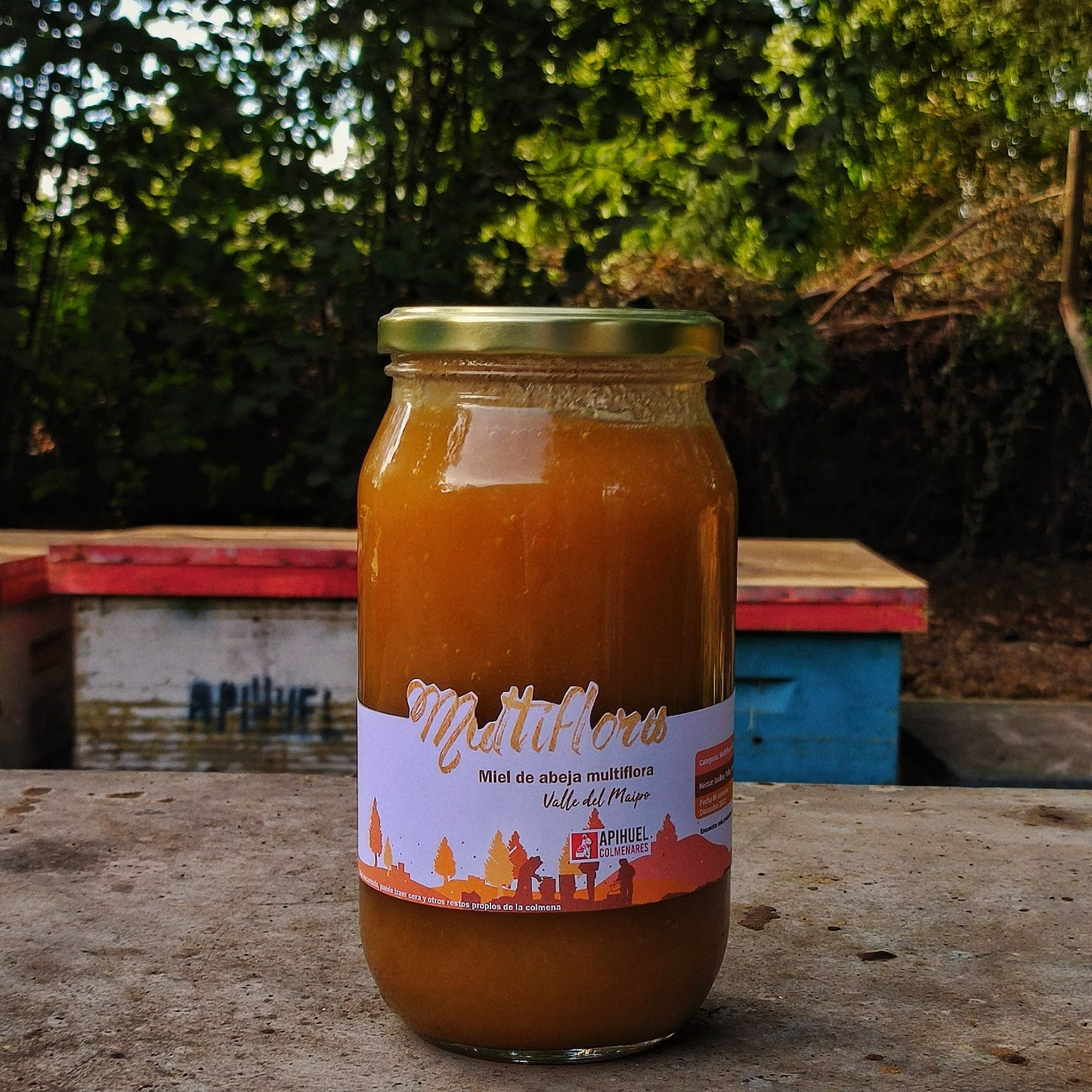 Miel Multiflora del Valle del Maipo 1,3 kg