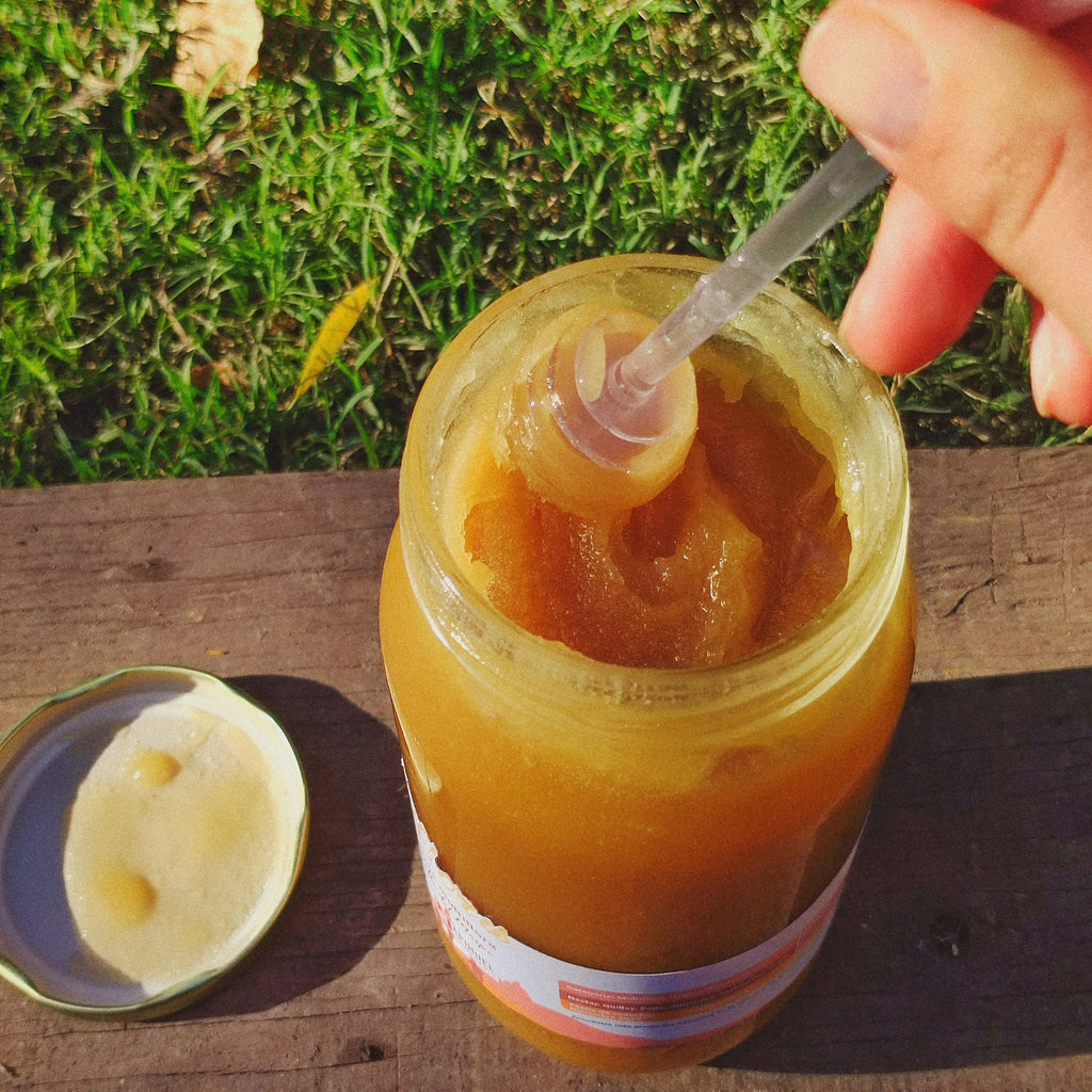 Pack Mieles de Chile 1,3 kg