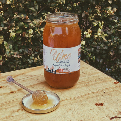 Pack Mieles de Chile 1,3 kg + envío GRATIS